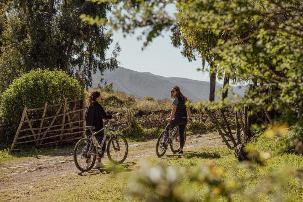 Colca Trek Lodge Best Experience Pinchollo Εξωτερικό φωτογραφία
